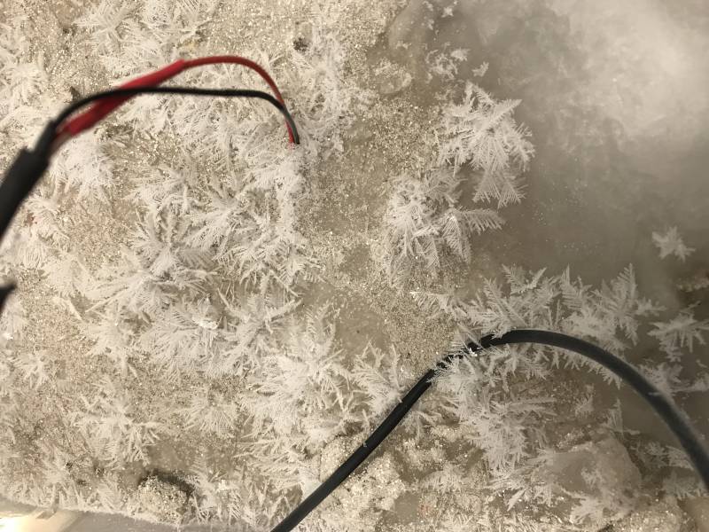 img_6548.jpg img_6548.jpg