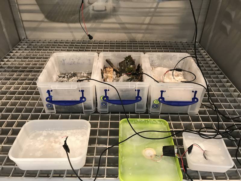 img_6544.jpg img_6544.jpg