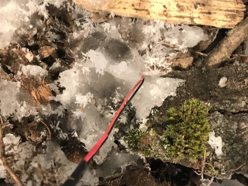 img_6540.jpg img_6540.jpg