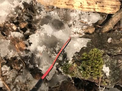 Detail from Freezing Sounds experiment Detail from Freezing Sounds experiment