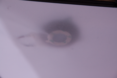 Common Grounds installation view Common Grounds installation view