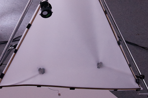 Common Grounds installation view Common Grounds installation view